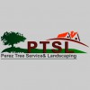 Perez Tree Service & Landscaping