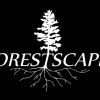 Forestscapes