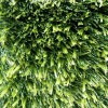 Faithful Lawn Care