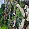 Gunter's Greenhouse