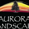 Aurora Landscape