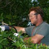 Bradenton Lawn Service
