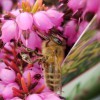 Masterson's Garden Center & Aquatic Nursery
