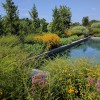 Maffei Landscape Design