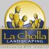 La Cholla Landscaping