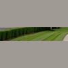 Daleco Land Management