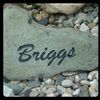 Briggs Contracting