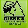 Giese's Tree & Landscaping Service