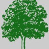 Frank O' Sullivan Landscaping