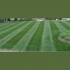 ReNew Lawn Care & Landscaping Services