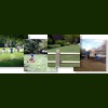 Associated Lawn & Landscaping Service