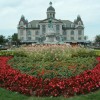 J&A Rubio Landscaping & Maintenance
