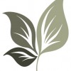 Hoen's Garden Center & Landscaping