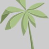Dan Ramos Landscaping