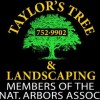 Taylor's Tree & Landscaping