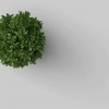 Green Day Pro Landscaping