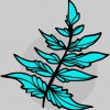 Blue Fern Landscaping