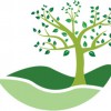 Wingate Landscaping