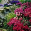 Vistascape Gardening