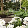 Pemberton Garden Services