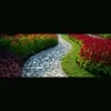 Greenscape Turf & Design