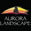 Aurora Landscape