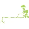 Foliage Design Systems