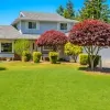 Extreme Lawncare