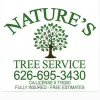 Nature's Tree Service