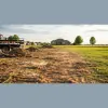 Francisco's Tree & Landscaping Services