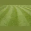 Old Pro's Lawn Service