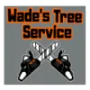 Plant City Tree Services
