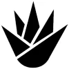 Austin Native Landscaping
