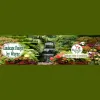 Landscape Design by Wayne