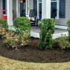 Ability Garden
