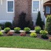 Vista Landscaping