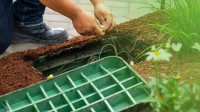 Irrigation