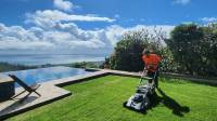 Residential Lawn Maintenance