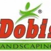 Dobis Landscaping