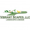 Vibrant Scapes