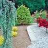 Central Jersey Landscaping & Lawn Maintenance