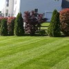 Whalen Landscaping