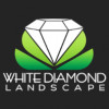 White Diamond Landscape