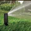 Carlos Reyes Lawn Service