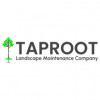 Taproot Landscape