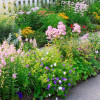 D & R Castro Landscaping