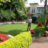 Paradise By Design Landscaping