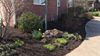 Mulching & Beds