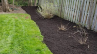 Seasonal Yard Cleanups