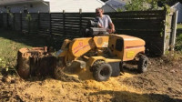 Tree & Shrub Care and Tree Removal